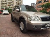 Cần bán xe Ford Escape đời 2006, màu vàng số tự động, giá tốt