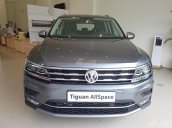 Bán xe Volkswagen Tiguan năm sản xuất 2018, màu xám (ghi), nhập khẩu