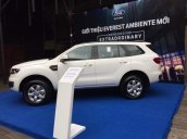 Bán ô tô Ford Everest đời 2019, màu trắng, nhập khẩu nguyên chiếc, giá tốt