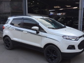 Bán xe Ford EcoSport sản xuất 2016 màu trắng, 466 triệu