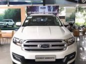 Bán ô tô Ford Everest đời 2019, màu trắng, nhập khẩu nguyên chiếc, giá tốt