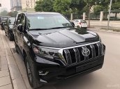 Bán Toyota Land Cruiser Prado VX đời 2018, màu đen, xe nhập