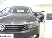 Bán Volkswagen Passat nhiều màu, giao ngay toàn quốc + hỗ trợ vay 80%. Gọi 090.364.3659