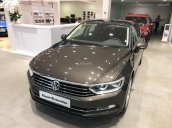 Bán Volkswagen Passat nhiều màu, giao ngay toàn quốc + hỗ trợ vay 80%. Gọi 090.364.3659