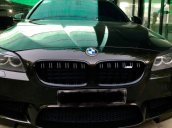 Chính chủ cần bán BMW 5 Series 528i sản xuất năm 2010, màu đen