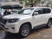 Cần bán Toyota Prado VX model 2019, màu trắng, nhập khẩu nguyên chiếc