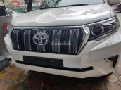 Cần bán Toyota Prado VX model 2019, màu trắng, nhập khẩu nguyên chiếc