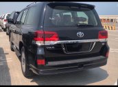 Cần bán Toyota Land Cruiser VXS 4.6l SX 2018