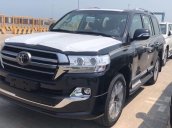 Cần bán Toyota Land Cruiser VXS 4.6l SX 2018