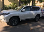 Bán Land Cruiser Prado VX model 2019 - Xe có sẵn giao ngay