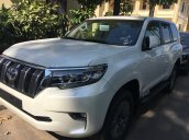 Bán Land Cruiser Prado VX model 2019 - Xe có sẵn giao ngay