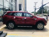 Bán Everest Titanium 1 cầu có xe sớm - Ford Đà Nẵng