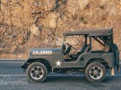 Cần bán Jeep CJ năm sản xuất 1975, màu xám (ghi), nhập khẩu, giá tốt