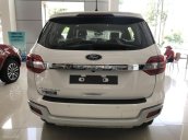 Ford Everest 2019, tặng 50% lệ phí trước bạ - Camera hành trình - Dán phim cách nhiệt - Ghế da