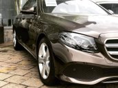 Cần bán Mercedes E250 năm sản xuất 2018, màu nâu