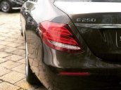 Cần bán Mercedes E250 năm sản xuất 2018, màu nâu