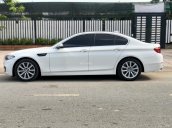 Cần bán xe BMW 5 Series 520i năm 2016, màu trắng, nhập khẩu nguyên chiếc