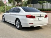 Cần bán xe BMW 5 Series 520i năm 2016, màu trắng, nhập khẩu nguyên chiếc