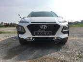 Hyundai Kona 2.0 đặc biệt, giao ngay trong tháng 11 - Hỗ trợ 50% phí trước bạ, giao xe ngay