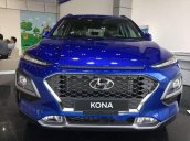 Cần bán Hyundai Kona năm sản xuất 2018 giá cạnh tranh