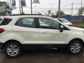 Bán xe Ford EcoSport Trend AT 2018 tại Bắc Giang, giá tốt, lh 0989022295