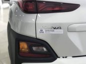 Bán Hyundai Kona năm 2018, màu bạc 