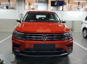 Tiguan Allspace Volkswagen SUV 7 chỗ nhập khẩu nguyên chiếc - Đăng ký lái thử vui lòng LH 0933 689 294