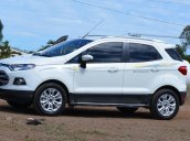 Bán Ford EcoSport Titanium 1.5 AT 2017, màu trắng ít sử dụng, giá tốt