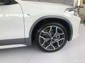 Bán xe BMW X2 2018, BMW Phú Mỹ Hưng Quận 7