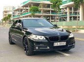 Cần bán xe BMW 5 Series 520LCI năm 2017, nhập khẩu nguyên chiếc  