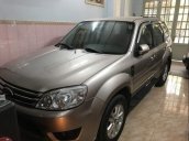 Cần bán xe Ford Escape năm 2009, màu bạc, giá tốt