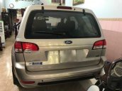 Cần bán xe Ford Escape năm 2009, màu bạc, giá tốt