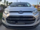 Cần bán xe Ford EcoSport sản xuất năm 2016, màu bạc, giá tốt