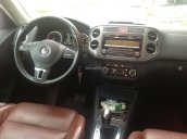 Bán xe Volkswagen Tiguan 4motion sản xuất năm 2010, màu bạc, nhập khẩu  