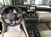 Cần bán xe Mercedes GLC300 4Matic đời 2018, màu đen