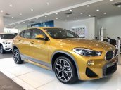 Bán xe BMW X2 năm 2018, màu vàng, xe nhập khẩu 100%, giá tốt, ưu đãi nhiều