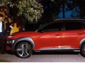 Bán Hyundai Kona 2018 - trả trước 5% - 150tr lăn bánh. Có xe giao ngay