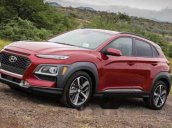 Bán Hyundai Kona 2018 - trả trước 5% - 150tr lăn bánh. Có xe giao ngay