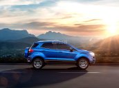 Ford Ecosport gía sốc không tưởng, chỉ 100 tr để sở hữu, tặng BHVC 9TR. Hỗ trợ trả góp 90% thủ tục nhanh gọn