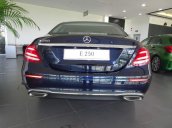 Cần bán Mercedes E250 đời 2018, nhập khẩu