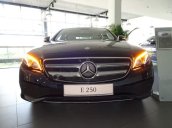 Cần bán Mercedes E250 đời 2018, nhập khẩu