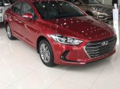 Hyundai Elantra nhiều màu có sẵn, "Giao xe chơi tết, Gọi ngay kẻo hết