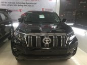 Bán Land Cruiser Prado sx 2019 - đen, giao ngay, Hiếu 093.4042.123