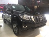 Bán Land Cruiser Prado sx 2019 - đen, giao ngay, Hiếu 093.4042.123