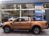 Bán Ford Ranger Wildtrak đời 2019, nhập khẩu, giá tốt