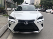 Bán Lexus NX300 sản xuất 2018 màu trắng, giao ngay