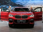 Bán xe BMW X4 xDrive20i đời 2018, màu đỏ, nhập khẩu nguyên chiếc