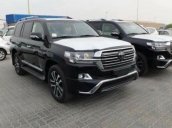 Cần bán xe Toyota Land Cruiser 4.6 AT sản xuất 2018, màu đen, nhập khẩu nguyên chiếc từ Trung Đông mới 100%