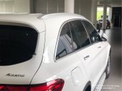 Phú Mỹ Hưng bán Mercedes-Benz GLC300 2019, mới 100%