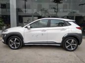 Bán xe Hyundai Kona bản 1.6 Turbo, đủ màu, giao xe ngay